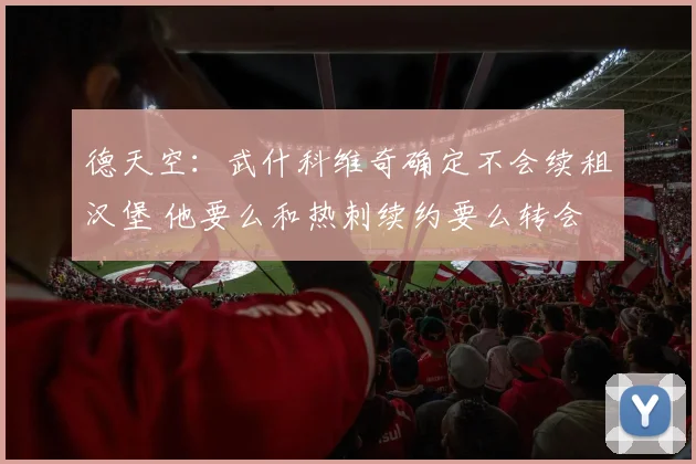 德天空：武什科维奇确定不会续租汉堡 他要么和热刺续约要么转会
